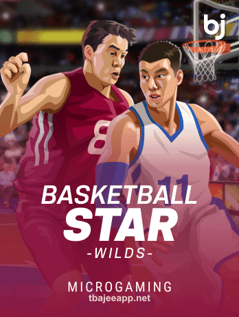 Basketball Star Wildspng - tbajee গেম